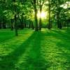 Mujahid is an online Physics tutor in Toronto, Canada