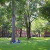 Ivy League Essay Coach is an online Ivy League Admissions tutor in New York, NY