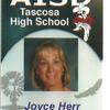 Joyce tutors AP in Amarillo, TX