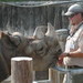 David tutors ACT Science in San Antonio, TX David tutors ACT Science in San Antonio, TX
