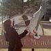 Georgette tutors Microbiology in Colorado Springs, CO Georgette tutors Microbiology in Colorado Springs, CO