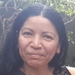 Sylvia tutors Algebra 1 in Lutz, FL Sylvia tutors Algebra 1 in Lutz, FL