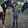 Erica  is an online Anthropology tutor in New Braunfels, TX