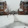 Ali is an online pre tutor in Toronto, Canada