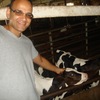 Jay is an online Scholarship tutor in Brooklyn, NY